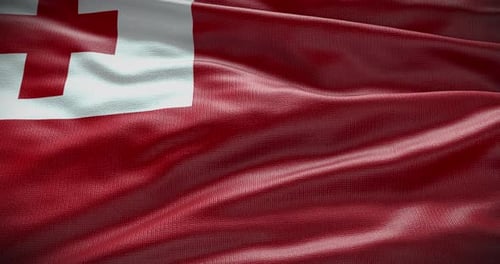 Tonga National Flag Waving with Realistic Fabric Texture