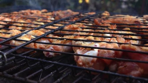 Délicieux barbecue au poulet sur feu de charbon 3