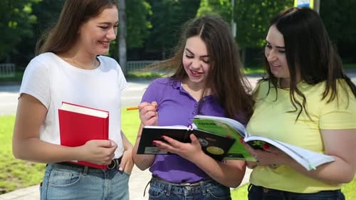 Smiling Students Studying Together Outdoors on Sunny Day
