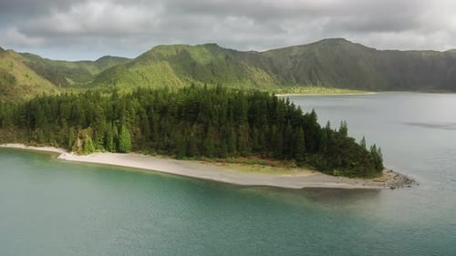 Drone Footage of a Dense Forest on a Shore of a Lake