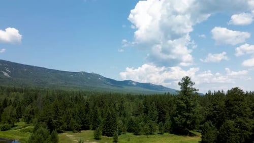 River with woodland against the background of the mountain