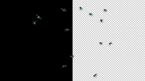 13 Green Flies - Flying Swarm - LS - Transparent Loop