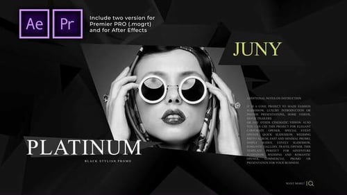 Platinum Fashion Promo