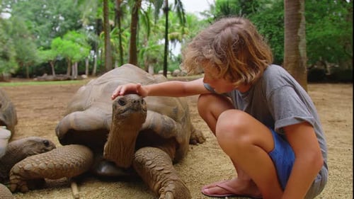 Interaction Between Humans and Animals