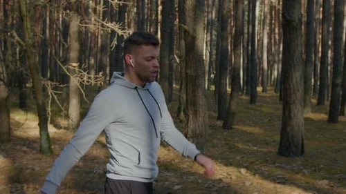 Morning Run In Beautiful Forest