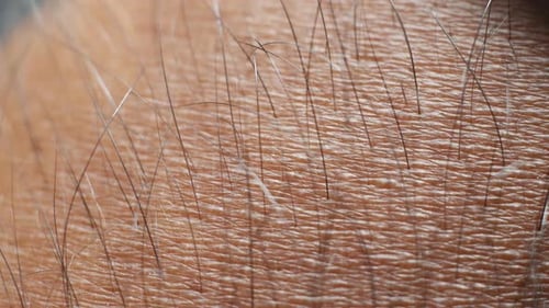 Human Skin Texture