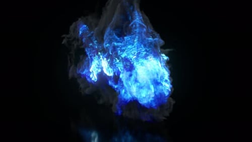 Burning Sammlung