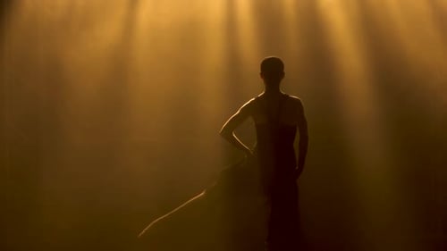 Silhouette eine anmutige Ballerina-Tänzerin, die tanzende Elemente des Klassisch Balletts in Schwarz