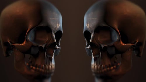 Dark Metallic Skulls Cinematic Zoom Transition
