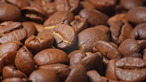 grain de café