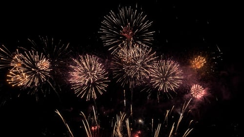 Brilliant Fireworks Explode in the Night Sky