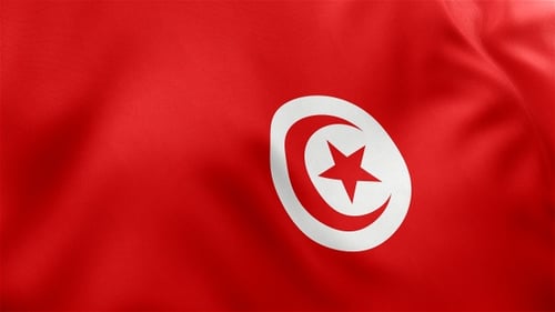 Realistic Tunisia Flag Waving Seamless Loop Background