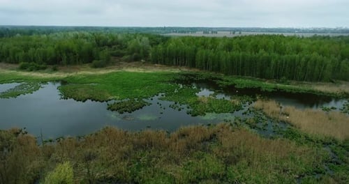 Aerial view of the marsh area.