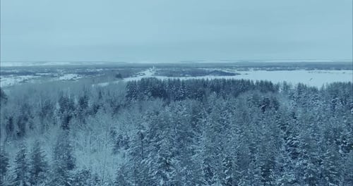 Aerial View of Snow Covered Forest in Winter