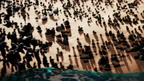 Abstract Sea Background with Black Stones Lying on the Sandy Shore