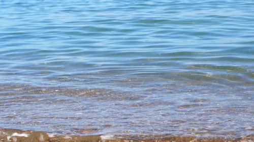 The water washes the golden sand under the rays of the sun. 4K Video close-up of sea, ocean