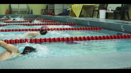 Swimmers Practice the Freestyle Stroke in Indoor Pool