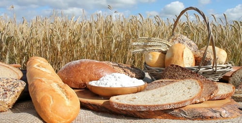 Variety of Fresh Breads in a Grain Field