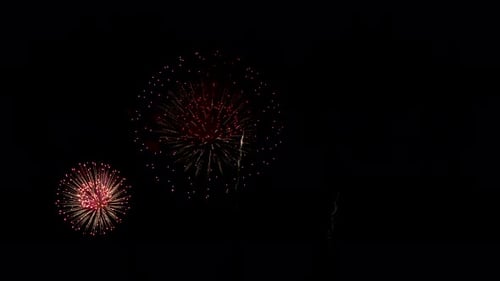 Brilliant Fireworks Exploding Against the Black Sky