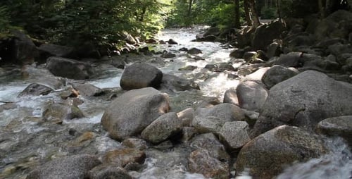 Water Flowing To The River