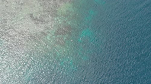 Aerial: woman snorkeling on coral reef tropical caribbean sea Indonesia Sulawesi