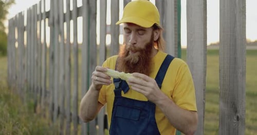 A Farmer in a Corn Field