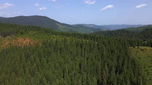 Aerial view of the beautiful mountain and forest in spring, Carpathian mountains, Ukraine