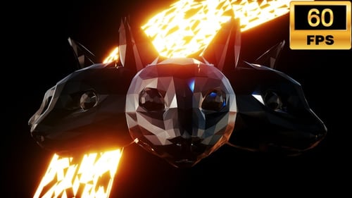 Cabezas de gato Vj Loop