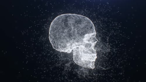 4K Plexus Skull