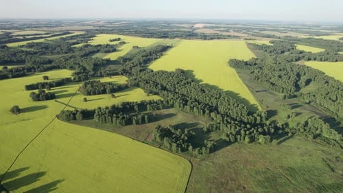Asphalt Highway Road Among the Summer Field Under Blue Cloudy Sky