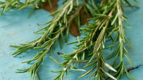 Rosemary sur table en bois