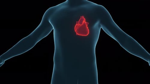 Die Diagnose des menschlichen Herzens durch Technologie der künstlichen Intelligenz