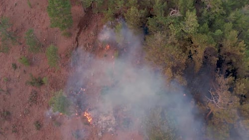 Aerial View Forest Fire