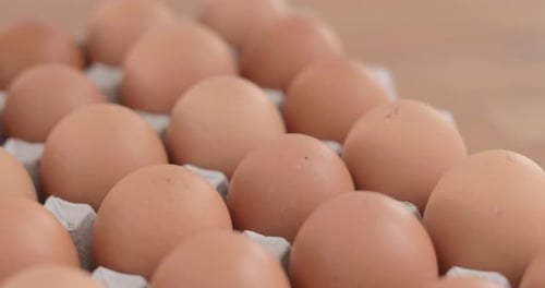 Carton of egg