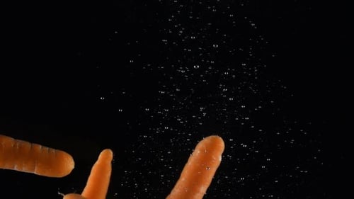Ganze Karotte fällt ins Wasser auf schwarzem Hintergrund