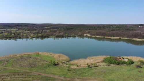 Pond and pine forest from a bird's eye view