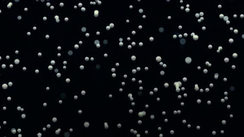 Cartoon Snow FLakes Falling Loop