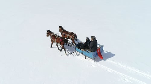 Sleigh Rides