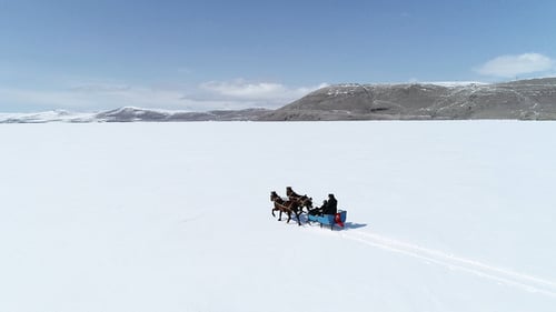 Excursion en traîneau en blanc