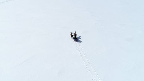 Sleigh Rrides in Turkey