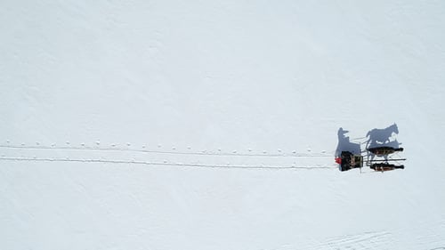 Aerial View Tough Life Sled Ride