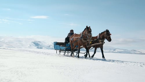 Sleighs Tourism Winter