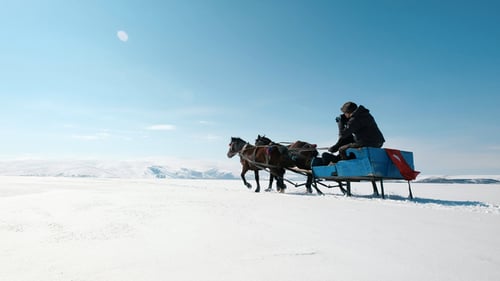 Sleigh Rides and Photographer