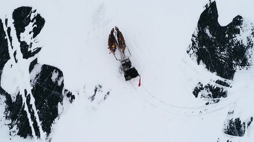 Horse Sled Ride in Snowy Winter Landscape