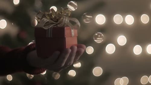 Gift in Hand at Christmas Time