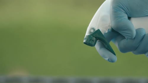 Gloved Hand Squeezing Trigger of Spray Bottle