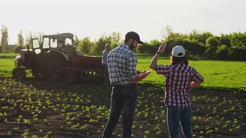 Two Farmers Talk in the Field, Use a Tablet