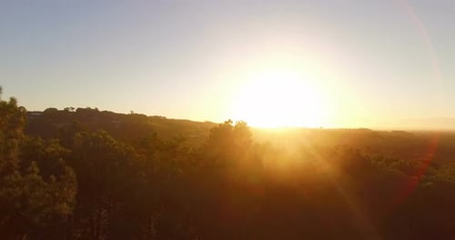 La lumière du soleil traverse les arbres