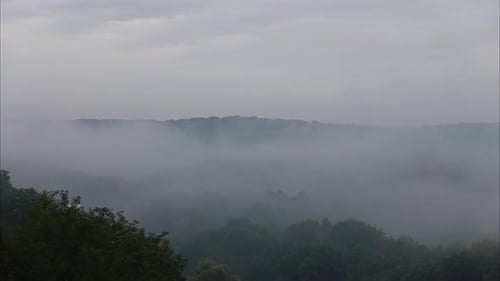 Fog Rolling Through Lush Green Forest Landscape