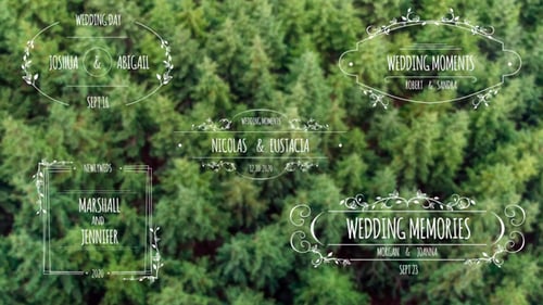 Minimal Wedding Title Animations with Clean Typography